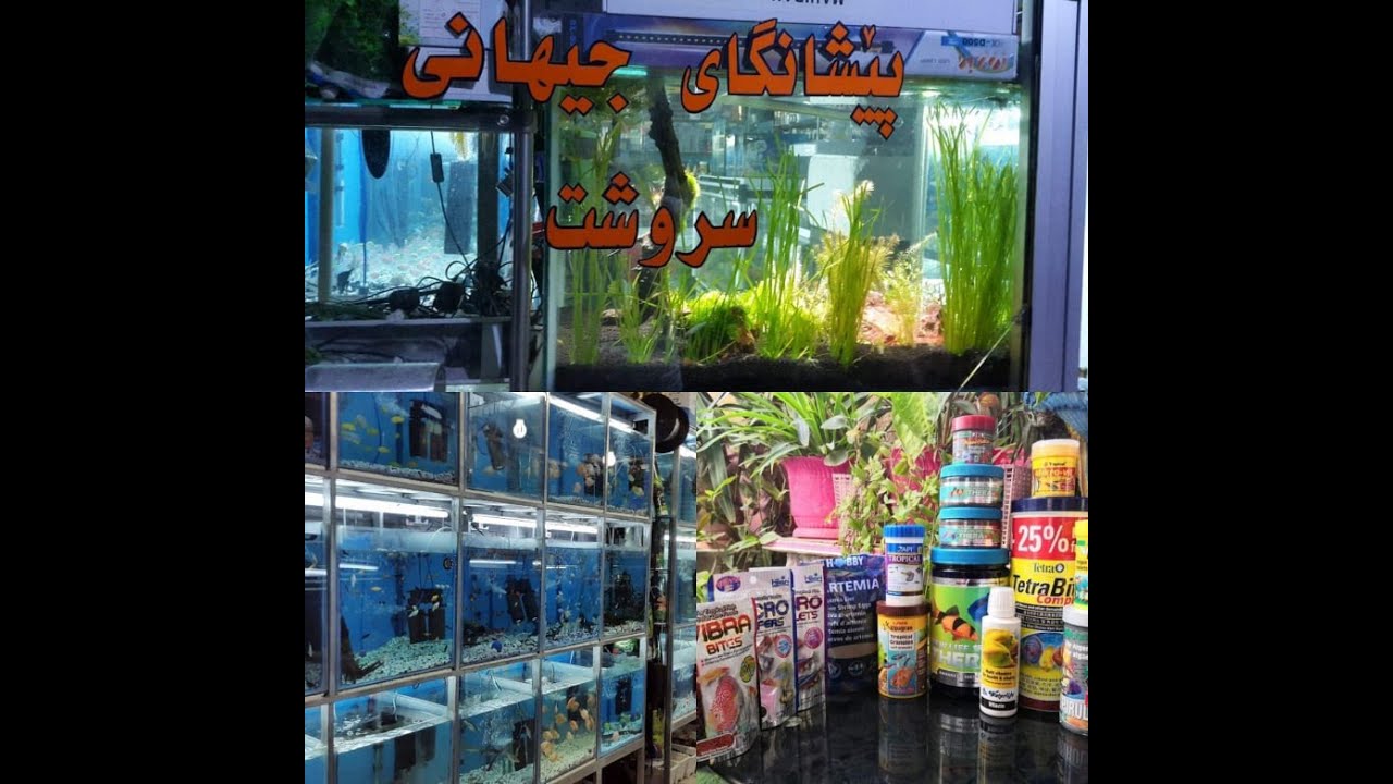 سه ردانی  مه یدانی بۆ پێشانگای جیهانی سروشت و پێدانی ڕێنمایی پێویست