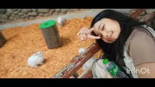 Yrian Hiraya Bokok
