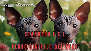 Standard F.C.I. del PERRO SIN PELO DEL PERU'