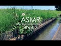 ASMR 睡眠 | 風の音と水の流れる音でお昼寝 | 3時間 | wind & water sound
