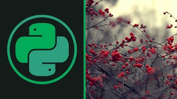 COMMON DJANGO MISTAKES | Python