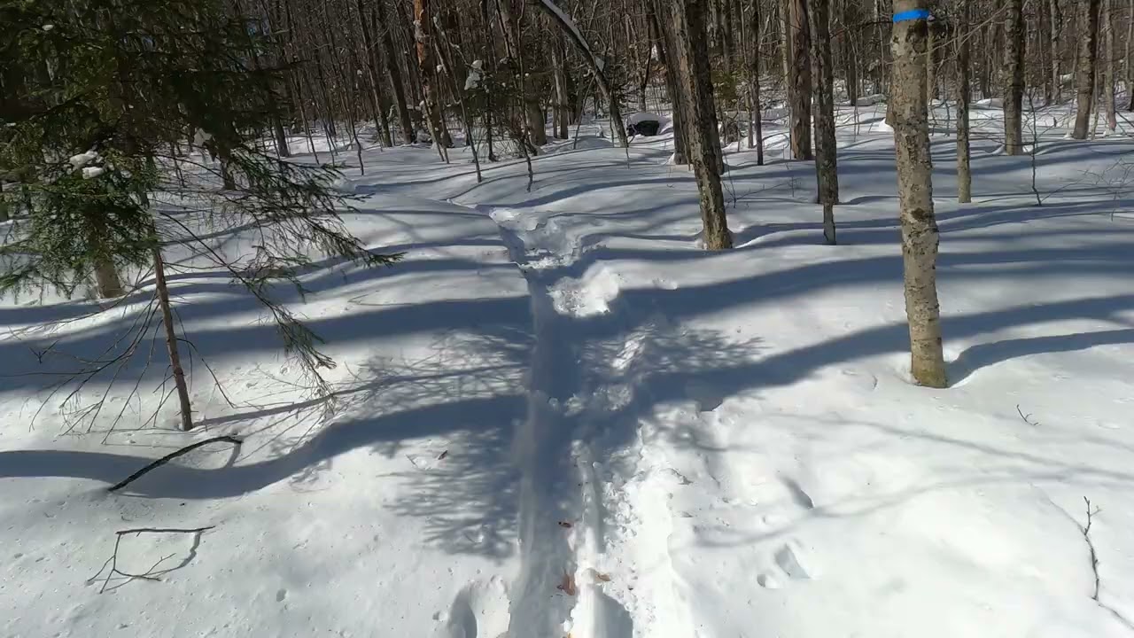 Mount Hor 3.12.24 I.I