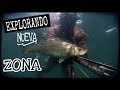Pesca submarina en Galicia - Probando nueva zona! Sargos, Ballestas y lubina