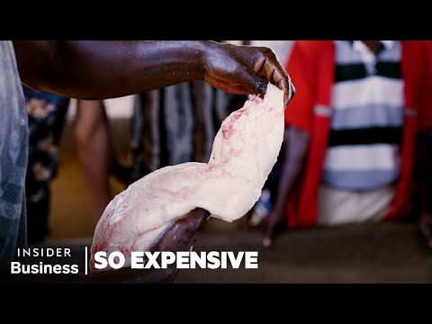 How Chinese Demand For Fish Maw (Swim Bladder) Fuels A $52 Million Industry In Uganda 