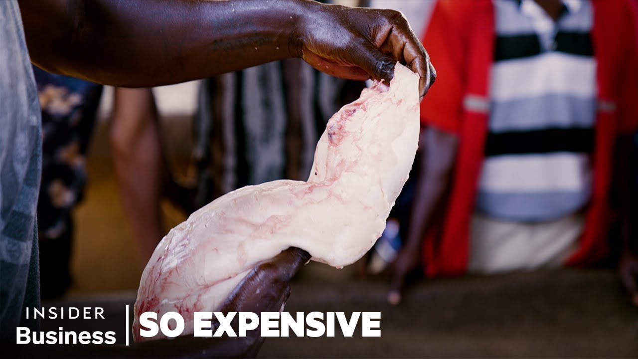 How Chinese Demand For Fish Maw (Swim Bladder) Fuels A $52 Million Industry In Uganda