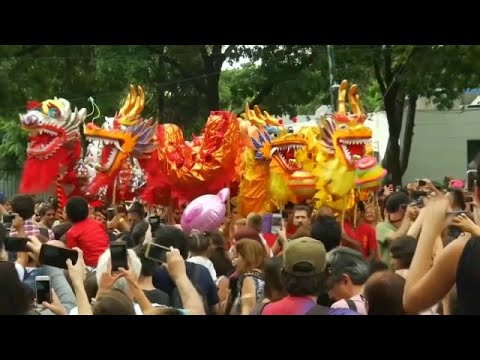 euronews grecia Dancing dragons and lions ring in Lunar New Year in Argentina