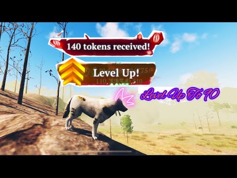 The Wolf- || Level Up To 90 😍 || The Wolf Online Simulator. 🐺