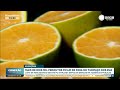Mais de 2,1 mil produtos ficam de fora do tarifaço dos EUA