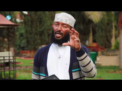 Haqarratti Sabatuu Kutaa 3ffaa