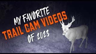 My Favorite Trail Camera Pictures of 2023