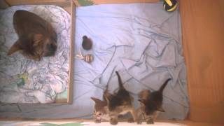 WP 20140623 005