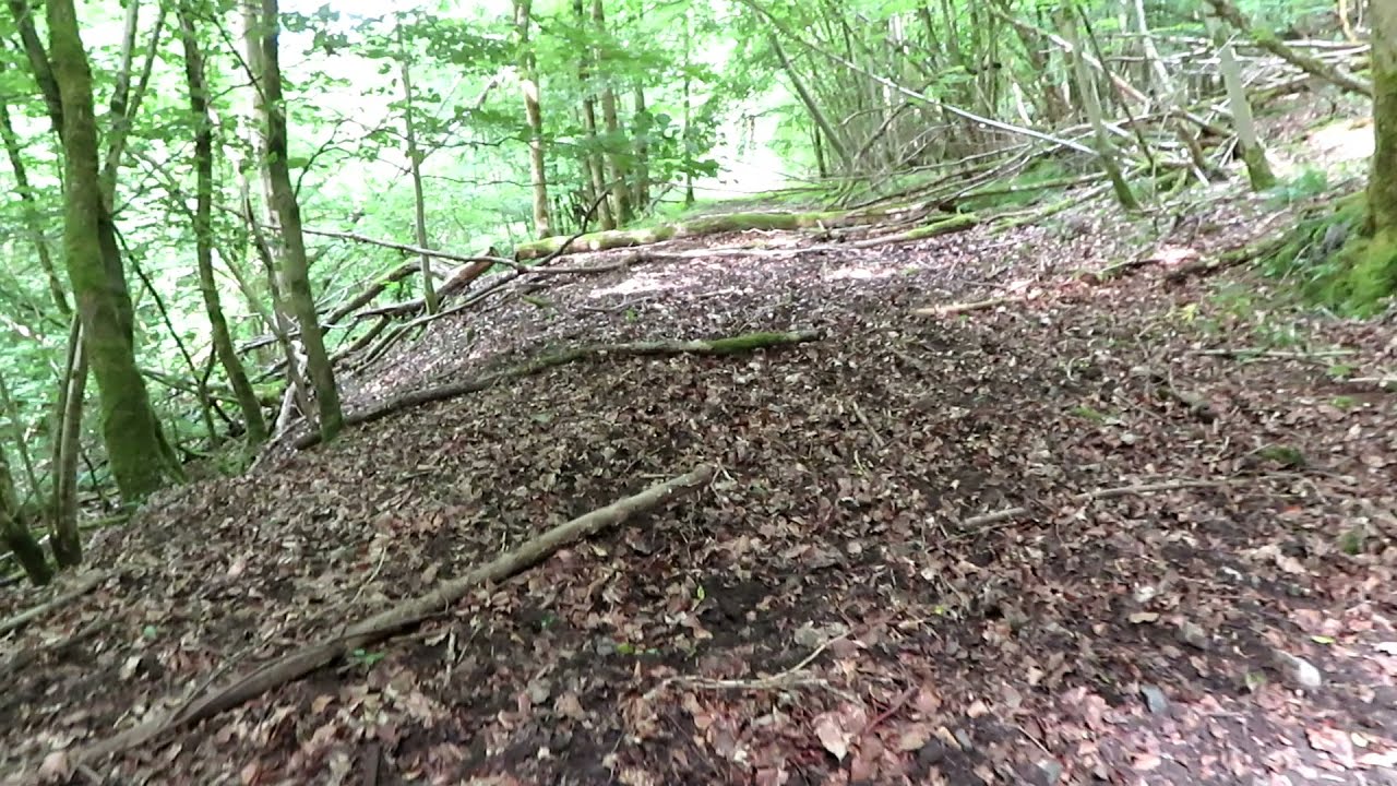 Die Ernstbahn & ihre Gruben E39 - Gutglück Betriebspunkt suchen (2)