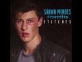 Shawn Mendes Stitches MP3 Free Download