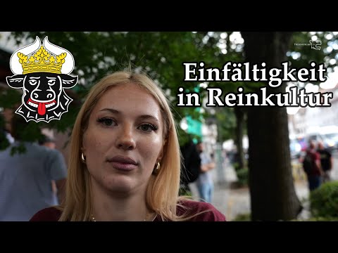 Einfältigkeit in Reinkultur - Hessencam Reaction | Wothor