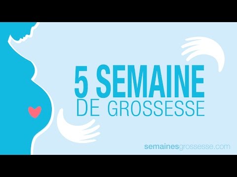 Vidéo: 5 Semaines De Grossesse : Description, échographie, Sensations