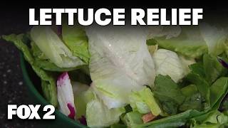 MDHHS lifts lettuce guidance as sick cases decrease in Michigan