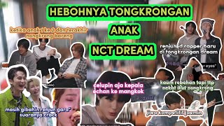 HEBOHNYA TONGKRONGAN ANAK NCT DREAM || nct dream funny moments [sub indo] #nctfunnymoments #nctdream