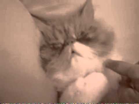 صح النوم يا حلو