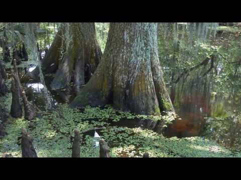 Tab Benoit- Nice and Warm