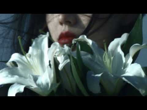 Mabel Matiz -