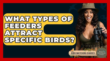 What Types Of Feeders Attract Specific Birds? - Bird Watching Diaries