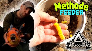 LA METHODE FEEDER EN RIVIERE, LES CARPES EN FOLIE !!! EXPLICATIONS ASTUCES, ET STRATEGIE