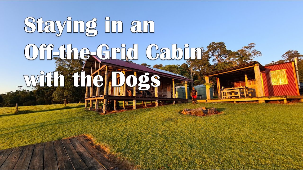 Staying in an Off-the-Grid Cabin at Cambridge Plateau | Driving from Sydney to Far North NSW