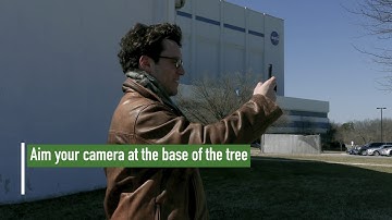 GLOBE Observer: Trees Promo