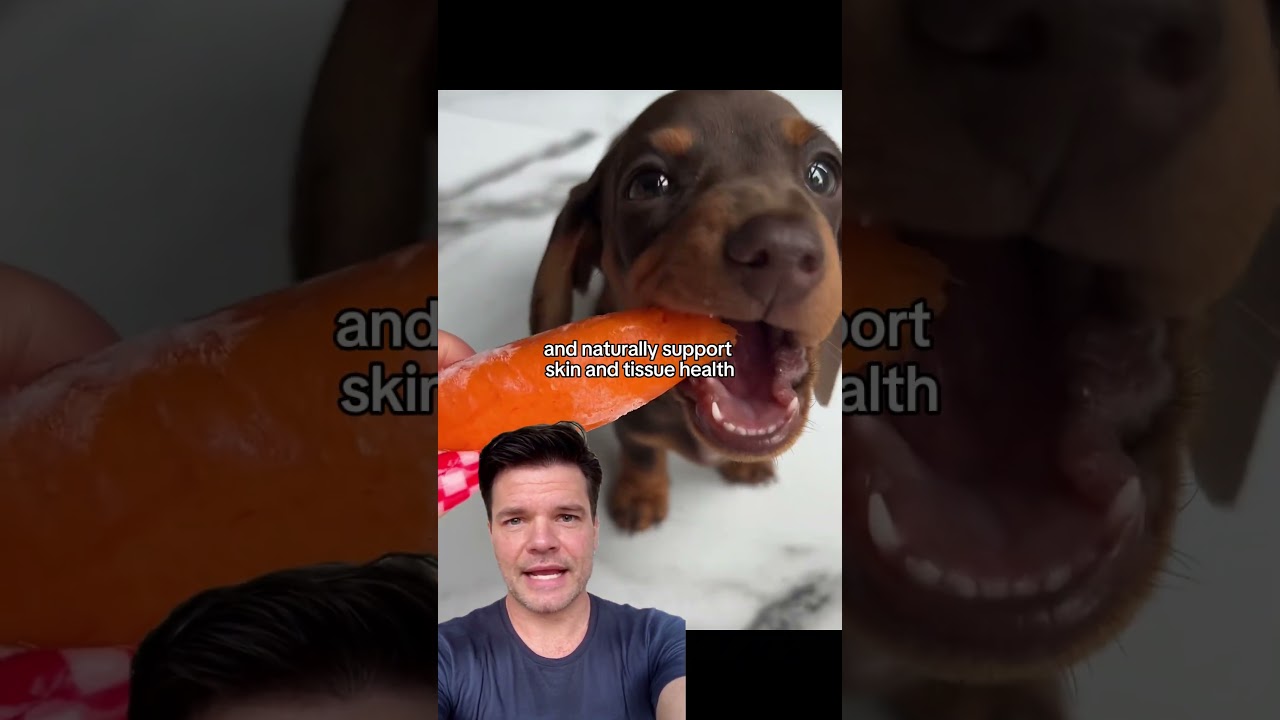 Every dog SHOULD eat these foods…🐶🍎 