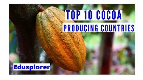 Top 10 Cocoa Producing Countries In The World. In Tonnes and Farmers Size. The Chocolate Industry.