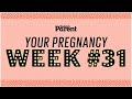 Your pregnancy: 31 weeks