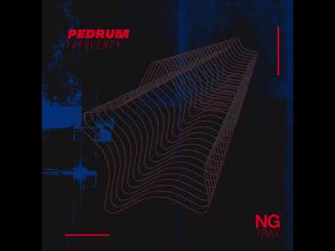 PREMIERE: Pedrum - Frequency [NG Trax]