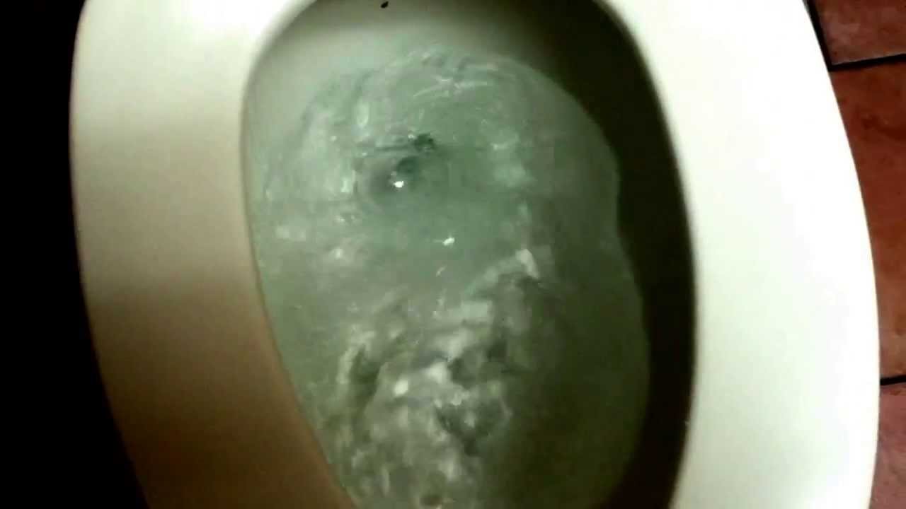 2001 Ferguson Altima toilet w/ urinal YouTube