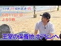 王室の保養地 ホアヒンへ【今井翼 タイ縦断鉄道の旅】6月11日(日)よる9時