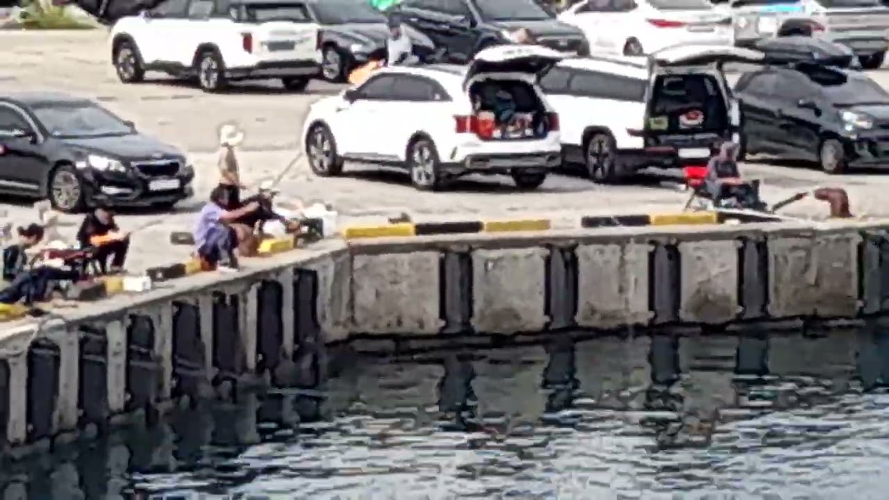 감포 낚시 상황 (25년 9월 30일)