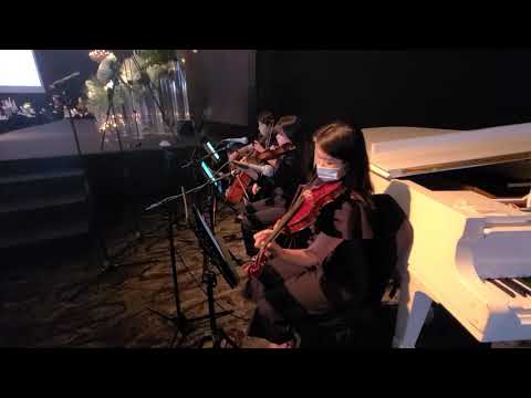 소공동 롯데호텔 크리스탈볼룸 결혼식연주 피아노4중주 Butterfly waltz 웨딩연주 결혼식음악