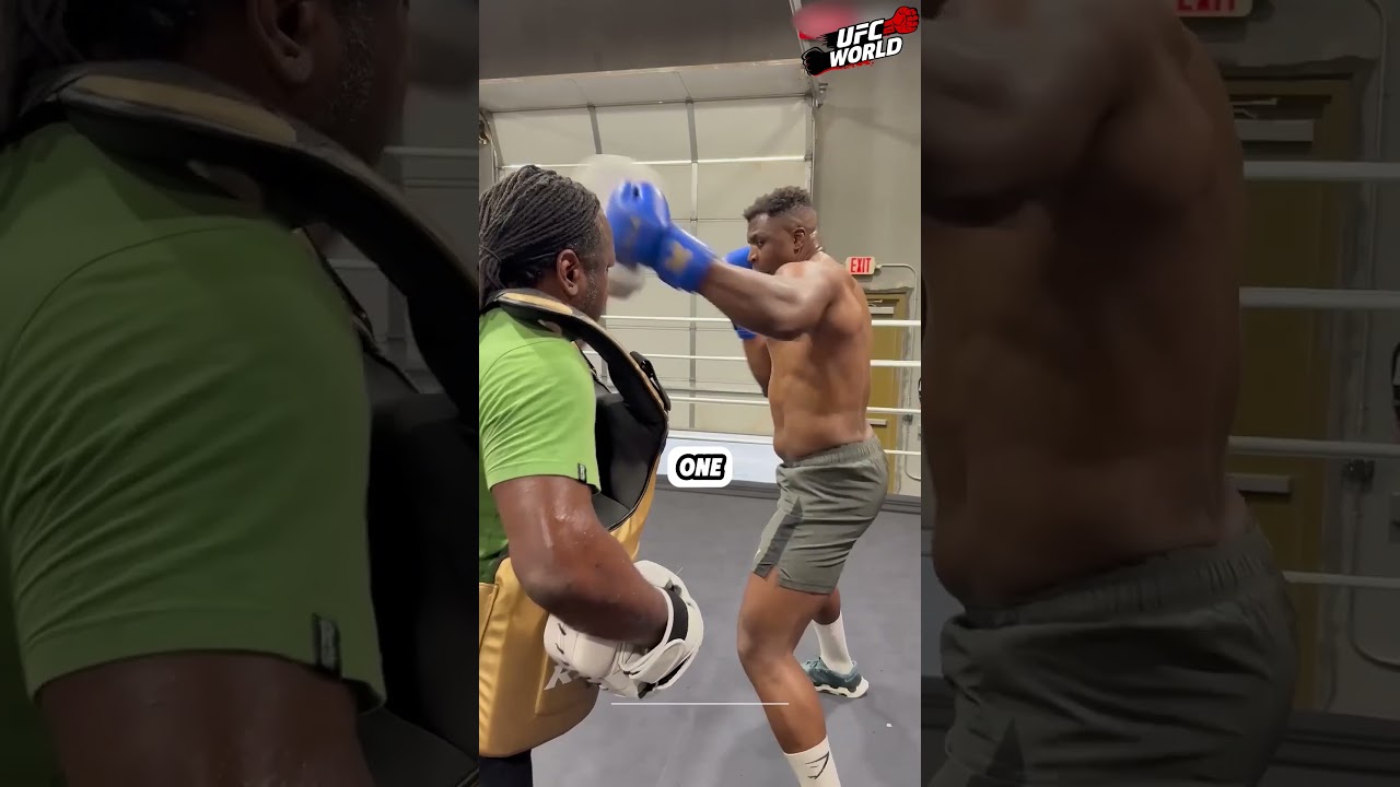 Francis Ngannou – UFC’s Knockout King 