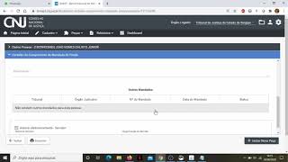 08 - Expedição minuta BNMP acesso direto
