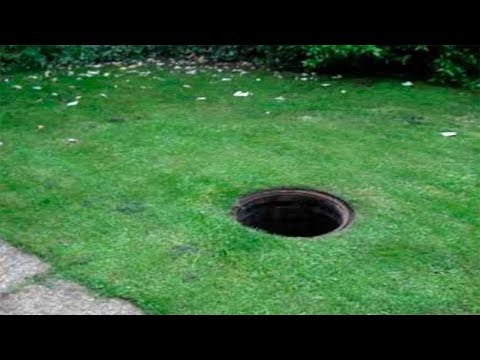 Vidéo: Qu'est-ce que creuser des tunnels dans mon jardin ?