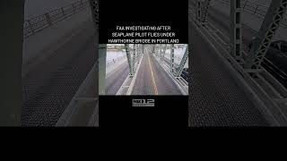 Plane flies under bridge in Portland News