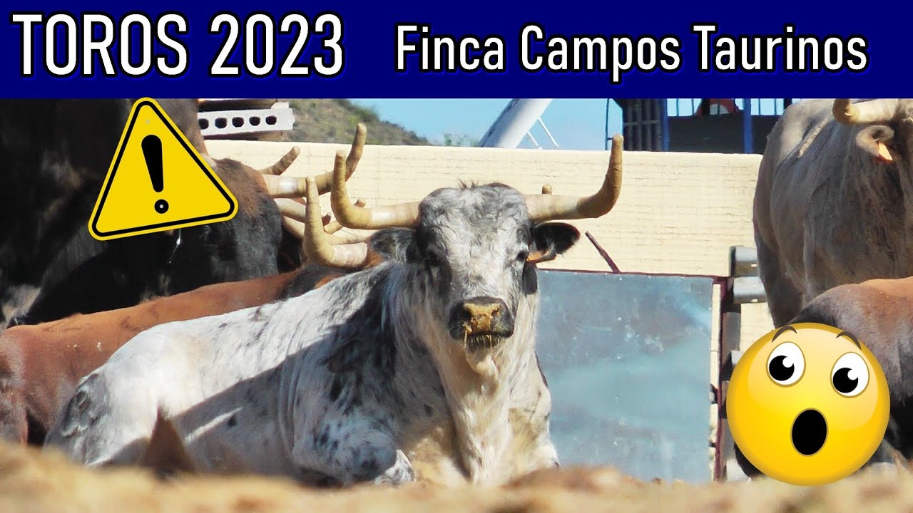 VISITAMOS FINCA CAMPOS TAURINOS❤️🌾