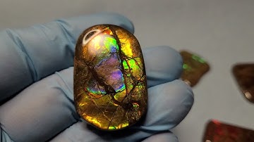 Alberta Ammolite Gemstone Lesson with Fossil Dad: Ammolite Patterns