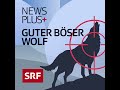 Guter Böser Wolf (3/4): Politdrama zwischen Schutz und Schuss