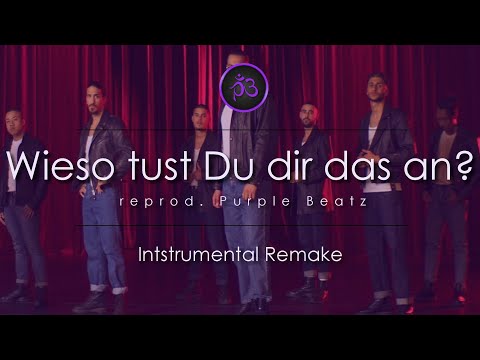 apache-207-–-wieso-tust-du-dir-das-an?-|-instrumental-remake-|-by-purple-beatz