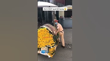 2024 03 07 @ytb thanhdayvlog 7343477587819252993