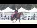 بنت اردنيه فارسه ترقص حصان  روعه