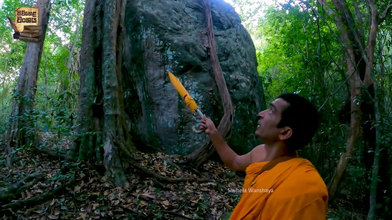 අරංකැලේ හැංගුන විශාල රජ මාලිගාවක්ද මේ | මේ ගල් රවුම් මොනවද #අරංකැලේ #archeology