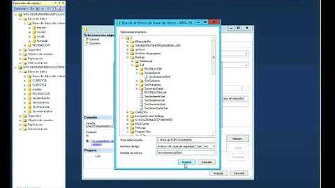 AA6 Ev3 Video tutorial espejos de bases de datos SENA