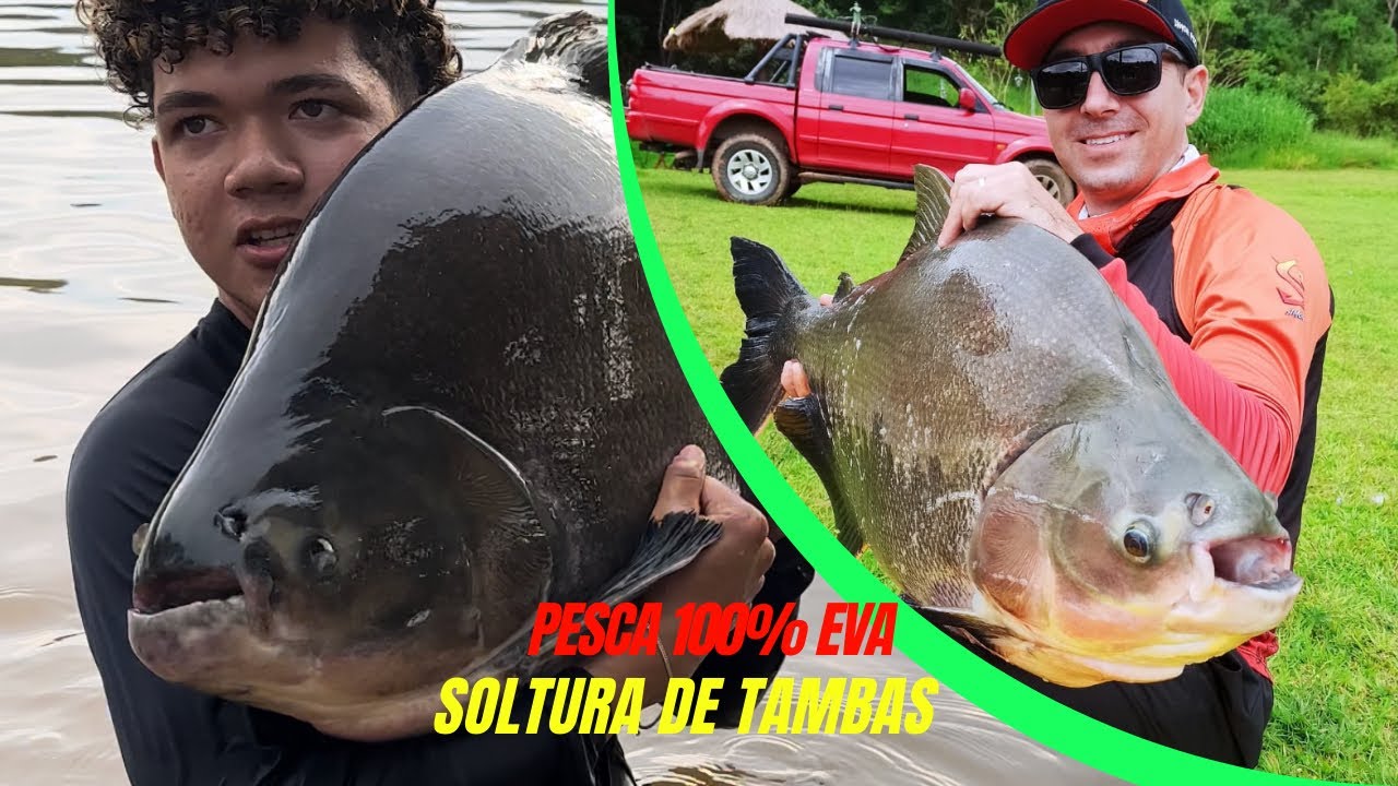 RECANTO MARAVILHA - vai te deixar com vontade de pescar