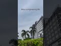 How is Engineering life 🧑🔧🤘#chatgpt #freefire #spotify #youtube #blackboxai #copilot #perplexity